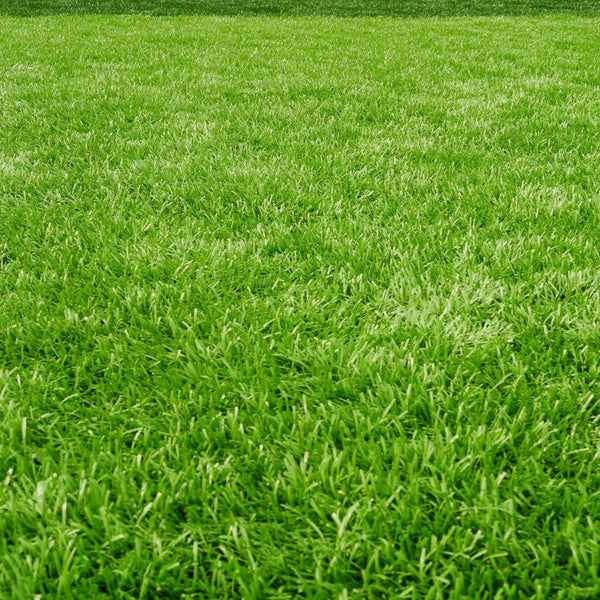 Terracottem turf, a premium soil conditioner designed to enhance the growth and establishment of turfgrass. Composed of a unique blend of organic and mineral components, it improves water retention, root development, and overall turf health for more resilient, sustainable lawns and sports fields