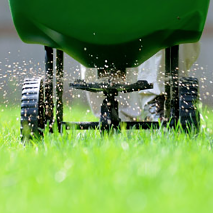 Fertiliser – 20KG Bag, designed for promoting healthy plant growth and improving soil quality in gardens, lawns, and agricultural fields. This high-quality fertiliser provides essential nutrients for plants, ensuring lush greenery and robust yields. Image highlights the durable packaging, easy-to-store 20KG size, and key nutrient details, offering a reliable solution for maintaining healthy landscapes and crops